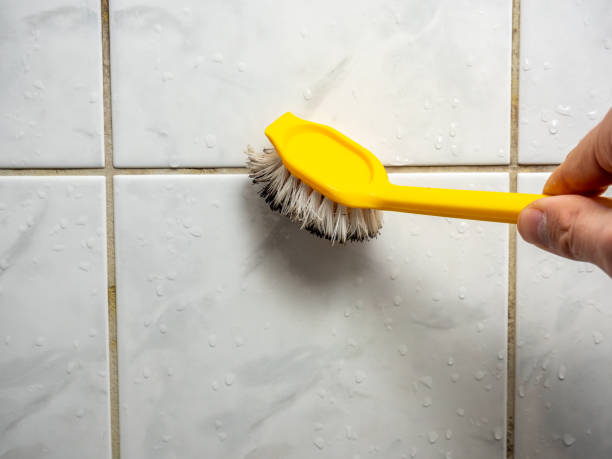 Best Mold Remediation  in Mar Mac, NC